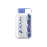 VOZOL Star 40000 Disposable Vape |Wavy Curved Display Screen|50MG