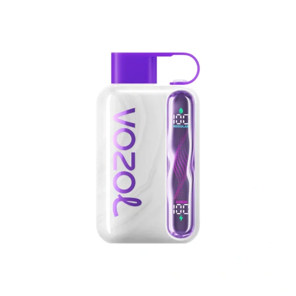 VOZOL Star 40000 Disposable Vape |Wavy Curved Display Screen|50MG