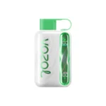 VOZOL Star 40000 Disposable Vape |Wavy Curved Display Screen|50MG